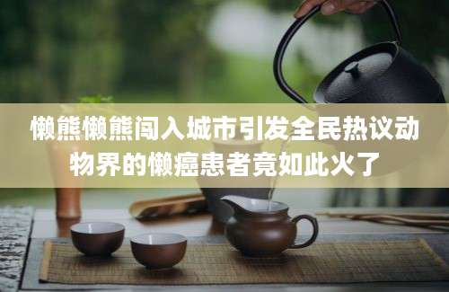懒熊懒熊闯入城市引发全民热议动物界的懒癌患者竟如此火了