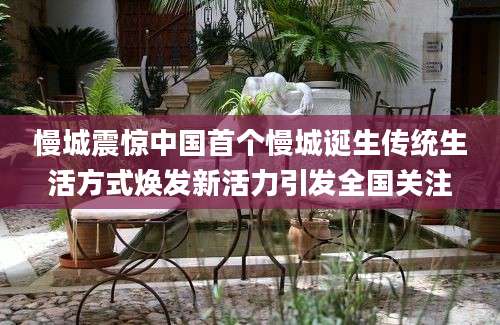 慢城震惊中国首个慢城诞生传统生活方式焕发新活力引发全国关注