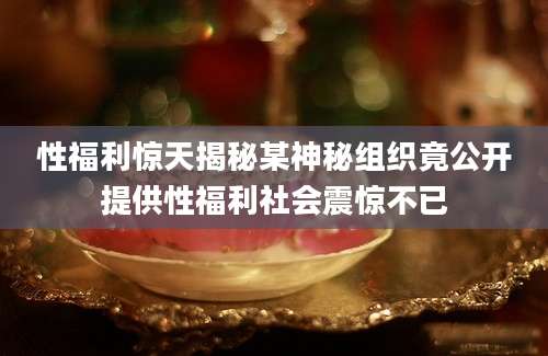 性福利惊天揭秘某神秘组织竟公开提供性福利社会震惊不已
