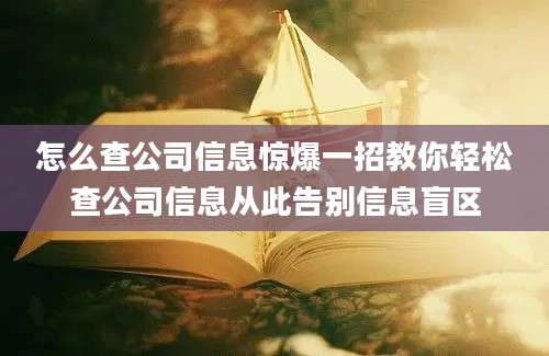 怎么查公司信息惊爆一招教你轻松查公司信息从此告别信息盲区
