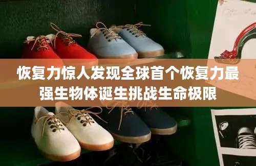 恢复力惊人发现全球首个恢复力最强生物体诞生挑战生命极限