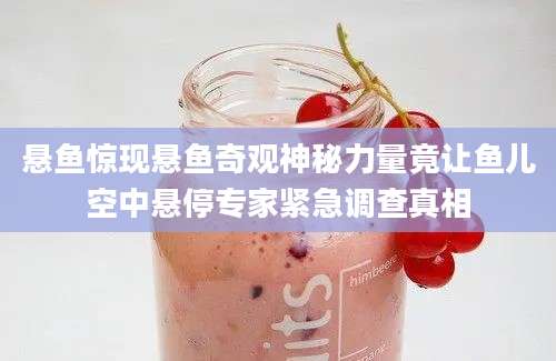 悬鱼惊现悬鱼奇观神秘力量竟让鱼儿空中悬停专家紧急调查真相