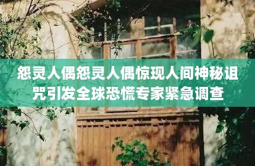 怨灵人偶怨灵人偶惊现人间神秘诅咒引发全球恐慌专家紧急调查