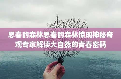 思春的森林思春的森林惊现神秘奇观专家解读大自然的青春密码