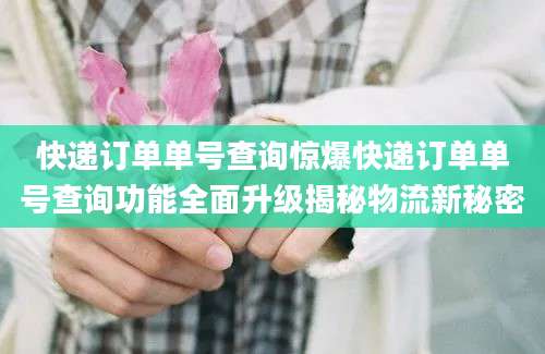快递订单单号查询惊爆快递订单单号查询功能全面升级揭秘物流新秘密