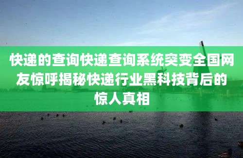 快递的查询快递查询系统突变全国网友惊呼揭秘快递行业黑科技背后的惊人真相