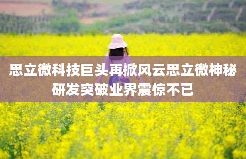 思立微科技巨头再掀风云思立微神秘研发突破业界震惊不已
