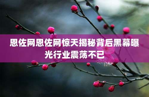 恩佐网恩佐网惊天揭秘背后黑幕曝光行业震荡不已