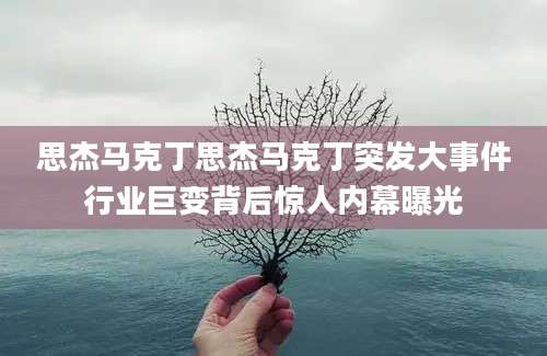 思杰马克丁思杰马克丁突发大事件行业巨变背后惊人内幕曝光