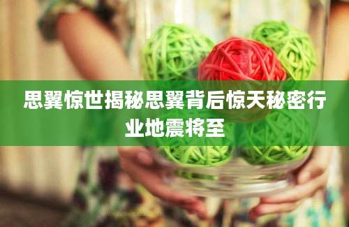 思翼惊世揭秘思翼背后惊天秘密行业地震将至