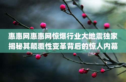 惠惠网惠惠网惊爆行业大地震独家揭秘其颠覆性变革背后的惊人内幕