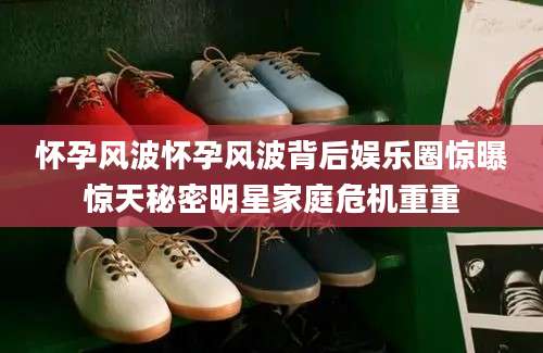 怀孕风波怀孕风波背后娱乐圈惊曝惊天秘密明星家庭危机重重