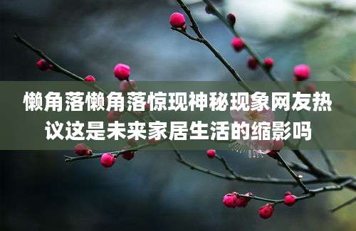 懒角落懒角落惊现神秘现象网友热议这是未来家居生活的缩影吗