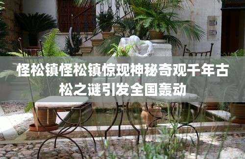 怪松镇怪松镇惊现神秘奇观千年古松之谜引发全国轰动