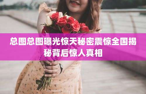 总图总图曝光惊天秘密震惊全国揭秘背后惊人真相