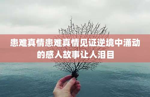 患难真情患难真情见证逆境中涌动的感人故事让人泪目