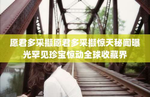 愿君多采撷愿君多采撷惊天秘闻曝光罕见珍宝惊动全球收藏界