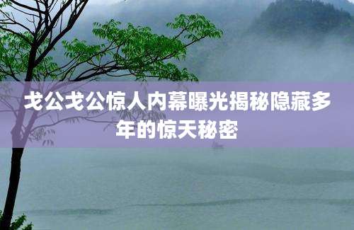 戈公戈公惊人内幕曝光揭秘隐藏多年的惊天秘密