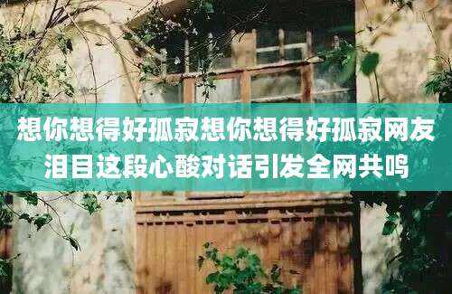 想你想得好孤寂想你想得好孤寂网友泪目这段心酸对话引发全网共鸣