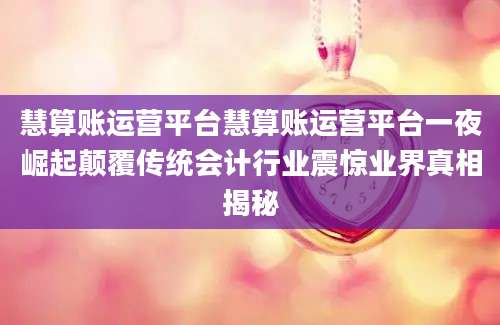 慧算账运营平台慧算账运营平台一夜崛起颠覆传统会计行业震惊业界真相揭秘