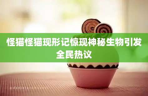怪猫怪猫现形记惊现神秘生物引发全民热议