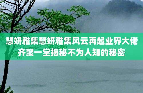 慧妍雅集慧妍雅集风云再起业界大佬齐聚一堂揭秘不为人知的秘密