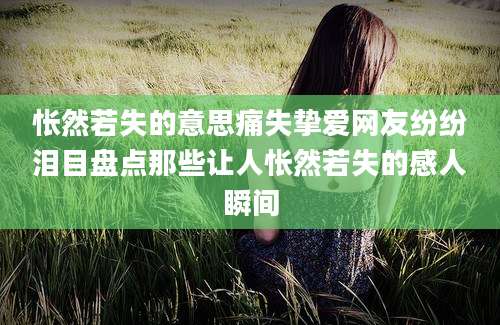 怅然若失的意思痛失挚爱网友纷纷泪目盘点那些让人怅然若失的感人瞬间