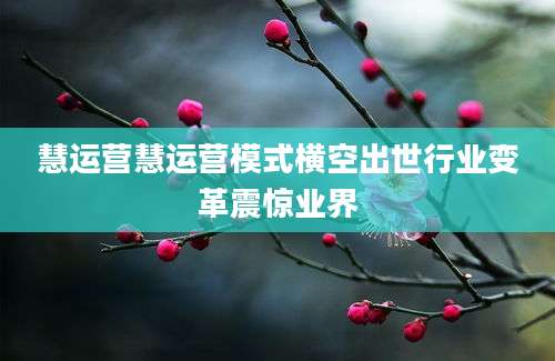 慧运营慧运营模式横空出世行业变革震惊业界