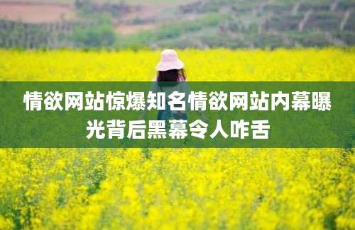情欲网站惊爆知名情欲网站内幕曝光背后黑幕令人咋舌