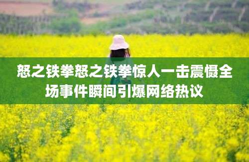 怒之铁拳怒之铁拳惊人一击震慑全场事件瞬间引爆网络热议