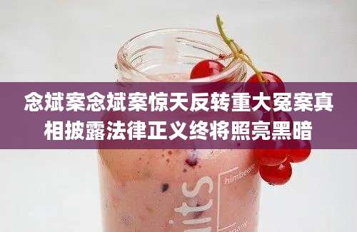 念斌案念斌案惊天反转重大冤案真相披露法律正义终将照亮黑暗