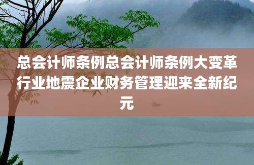 总会计师条例总会计师条例大变革行业地震企业财务管理迎来全新纪元