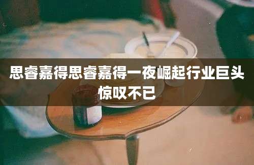 思睿嘉得思睿嘉得一夜崛起行业巨头惊叹不已