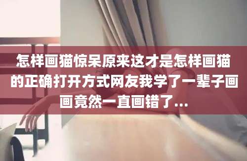 怎样画猫惊呆原来这才是怎样画猫的正确打开方式网友我学了一辈子画画竟然一直画错了...