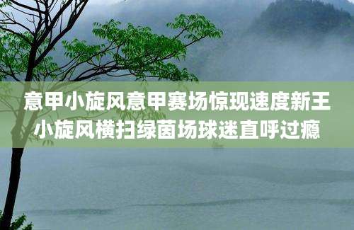 意甲小旋风意甲赛场惊现速度新王小旋风横扫绿茵场球迷直呼过瘾