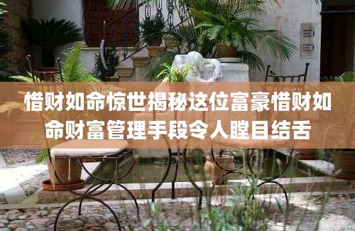惜财如命惊世揭秘这位富豪惜财如命财富管理手段令人瞠目结舌