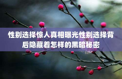 性别选择惊人真相曝光性别选择背后隐藏着怎样的黑暗秘密
