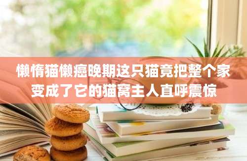 懒惰猫懒癌晚期这只猫竟把整个家变成了它的猫窝主人直呼震惊