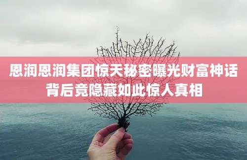 恩润恩润集团惊天秘密曝光财富神话背后竟隐藏如此惊人真相