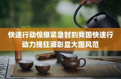 快速行动惊爆紧急时刻我国快速行动力挽狂澜彰显大国风范