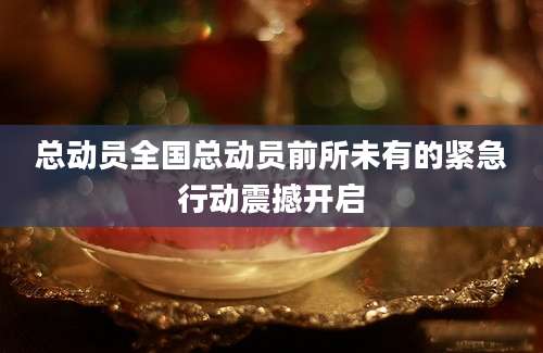 总动员全国总动员前所未有的紧急行动震撼开启