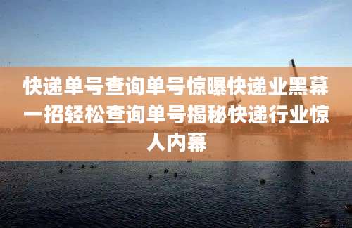 快递单号查询单号惊曝快递业黑幕一招轻松查询单号揭秘快递行业惊人内幕