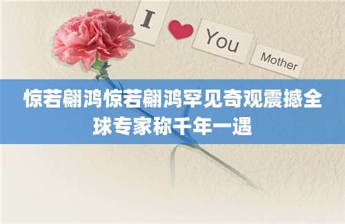 惊若翩鸿惊若翩鸿罕见奇观震撼全球专家称千年一遇