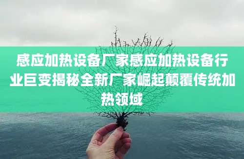感应加热设备厂家感应加热设备行业巨变揭秘全新厂家崛起颠覆传统加热领域
