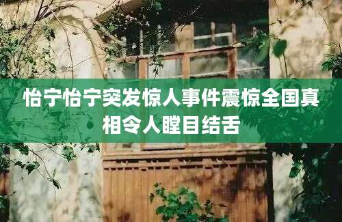 怡宁怡宁突发惊人事件震惊全国真相令人瞠目结舌