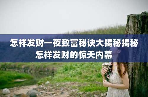 怎样发财一夜致富秘诀大揭秘揭秘怎样发财的惊天内幕