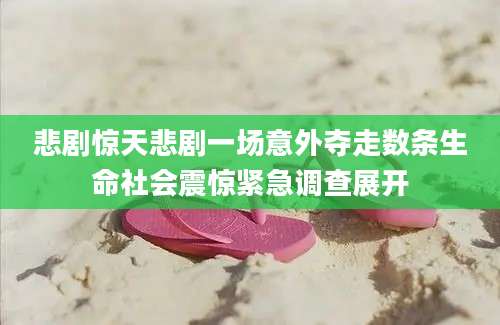 悲剧惊天悲剧一场意外夺走数条生命社会震惊紧急调查展开
