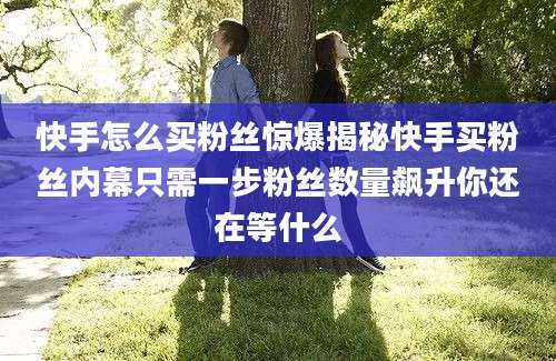 快手怎么买粉丝惊爆揭秘快手买粉丝内幕只需一步粉丝数量飙升你还在等什么