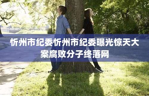 忻州市纪委忻州市纪委曝光惊天大案腐败分子终落网