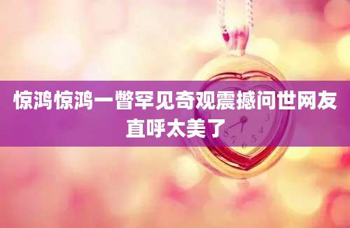 惊鸿惊鸿一瞥罕见奇观震撼问世网友直呼太美了